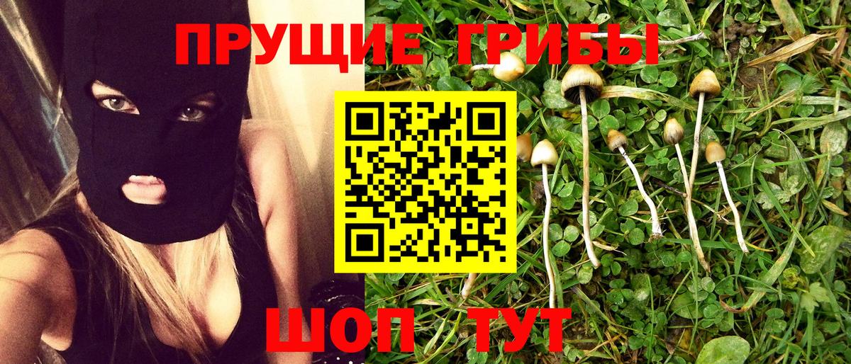 Галлюциногенные грибы прущие грибы Карталы