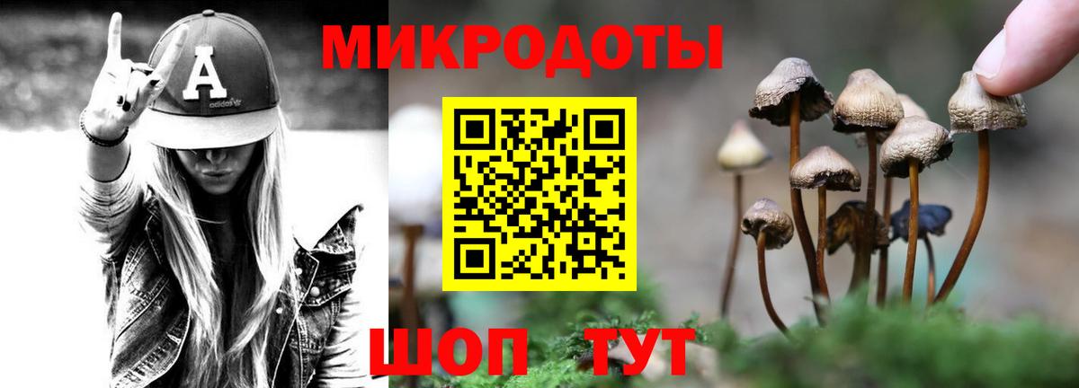 наркотики  Галлюциногенные грибы Magic Shrooms  Вход с VPN  Карталы 